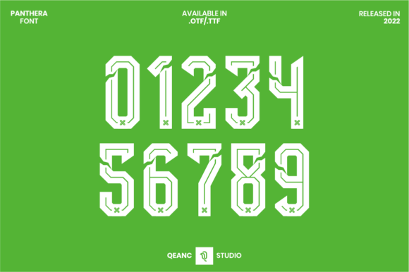 Panthera Font for a Sporty and Modern Brand Look