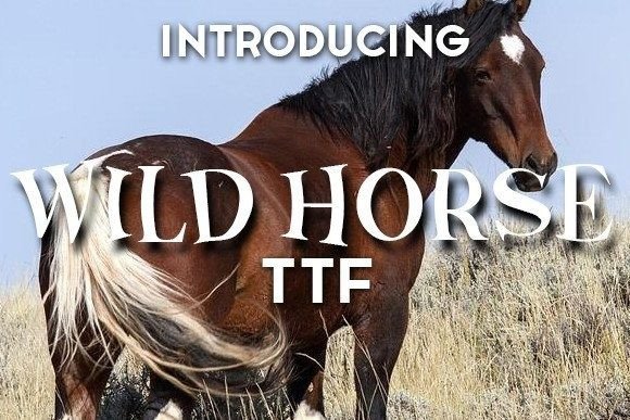 Wild Horse: A Cartoonish Display Font for Bold Branding